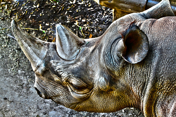 RHINO TUFF