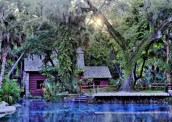Mill House