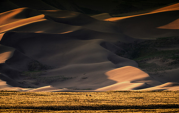 Two Elks Great Sand dunes NP 7.23
