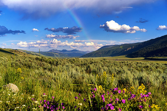 Rainbow over Yellowstone NP 7.23