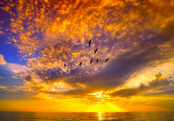 Sunrise over the National Wildlife Refuge in Hobe Sound Fl 8.20.23