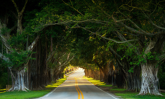 Buddha Tunnel (Bridge Rd ) Hobe Sound fl 4.21