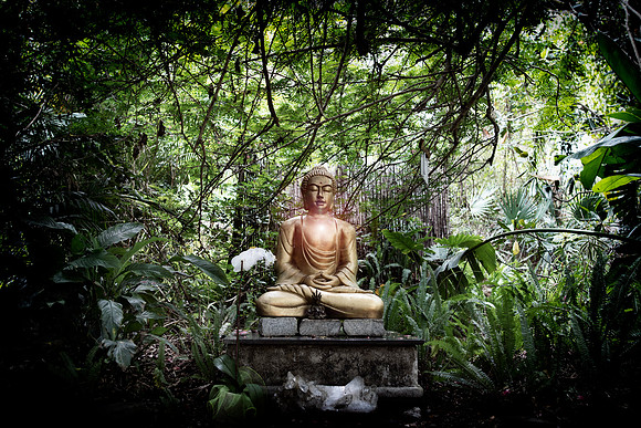 "The Buddha " Sebastian Fl