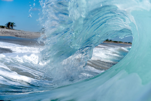 "The Blues" Hobe Sound fl 5.21