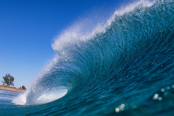 Palm beach backwash 12.11.18