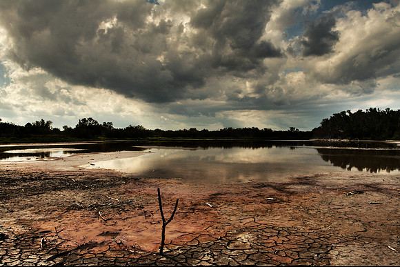 Low tide salt flat