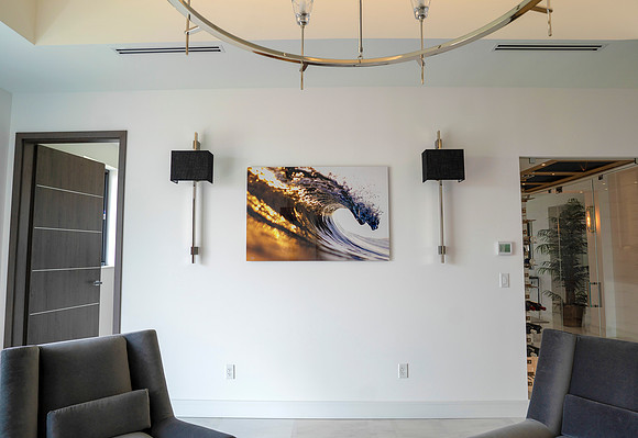 40x60 HD metal "twin dragons"