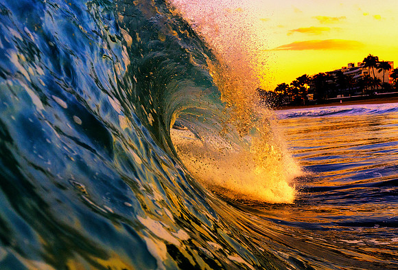 Jan perfection at sunset. Palm Beach Fl 2020