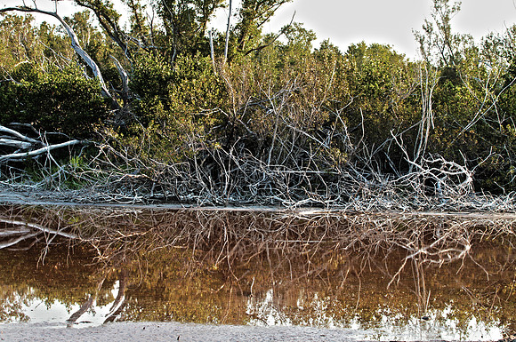 Stick Island
