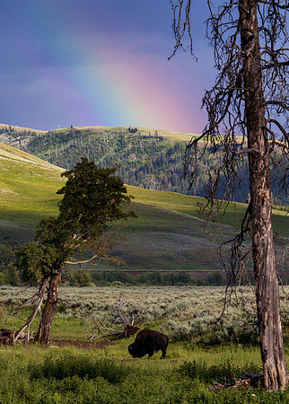 Rainbow over Yellowstone National park! July 2023