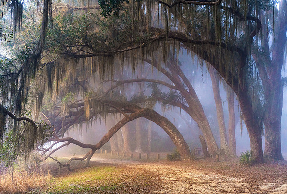 The Enchanted Forrest , Ocala Fl 3.22