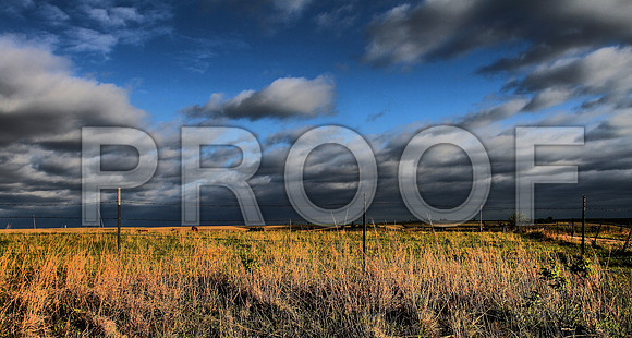 Blue sky in a field of gold, Kansas Flint Hills