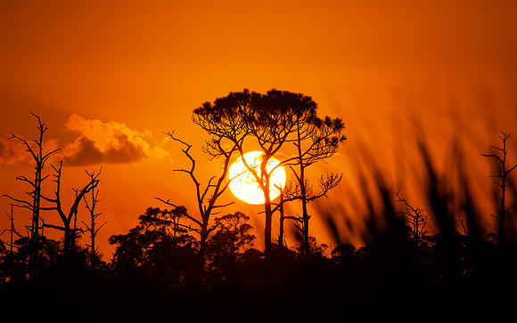 JD state park , Hobe Sound fl 5.22
