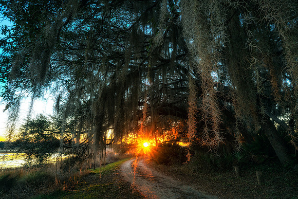 Magical Sunset in the Ocala National forrest 3.22